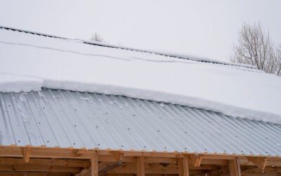 How to Choose the Right Structural Metal Roof Panels for Your Projects