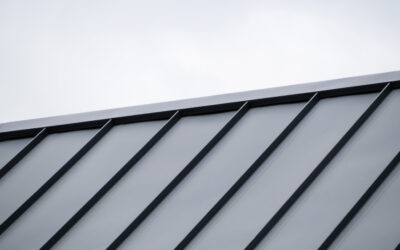 Metal Roofing Panels 101: Your Complete Guide to a Successful Project
