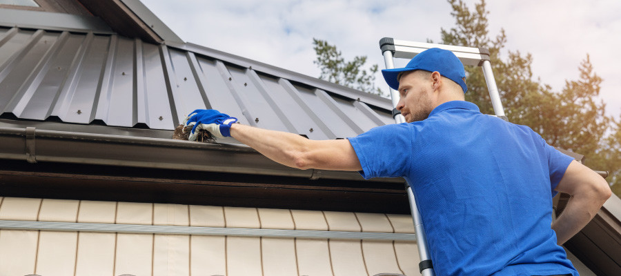 Man cleaning metal roof & gutters
